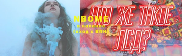 шишки Краснослободск