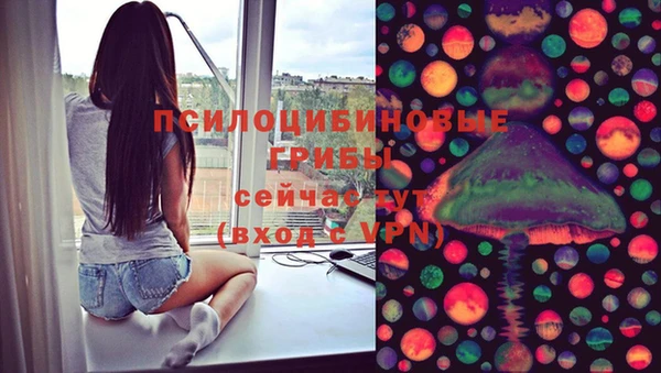 шишки Краснослободск
