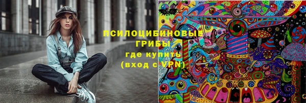шишки Краснослободск