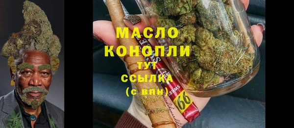 шишки Краснослободск