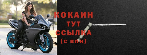 шишки Краснослободск
